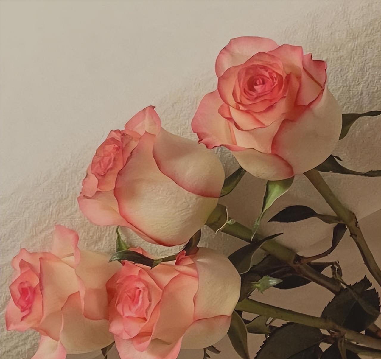 其实男人用情越深越会主动,其实男人更容易动心