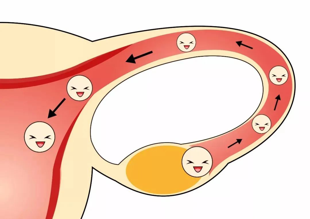 试管移植第十天hcg多少算着床成功,试管移植12天hcg翻倍是成功了吗