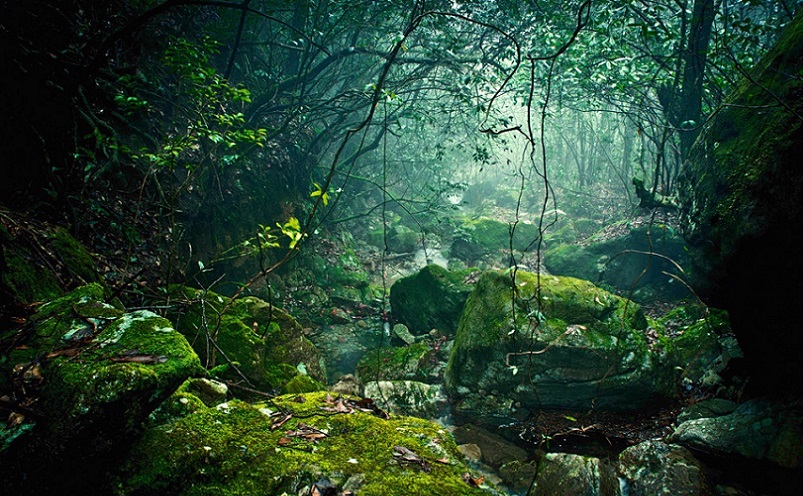 温州必去的十大景点,温州市旅游攻略必去十大景点