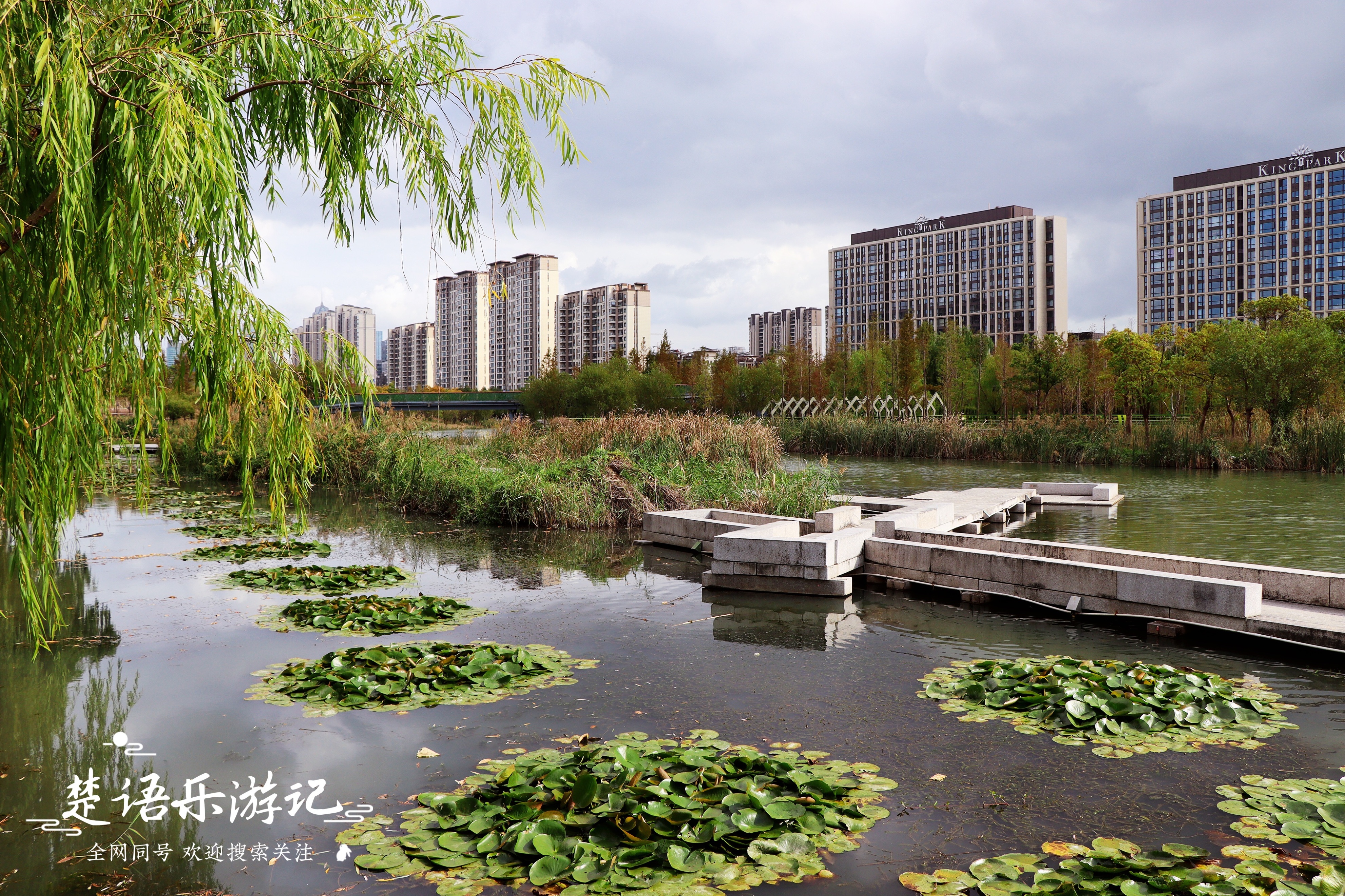宁波最浪漫的粉黛花海,宁波油菜花海景区