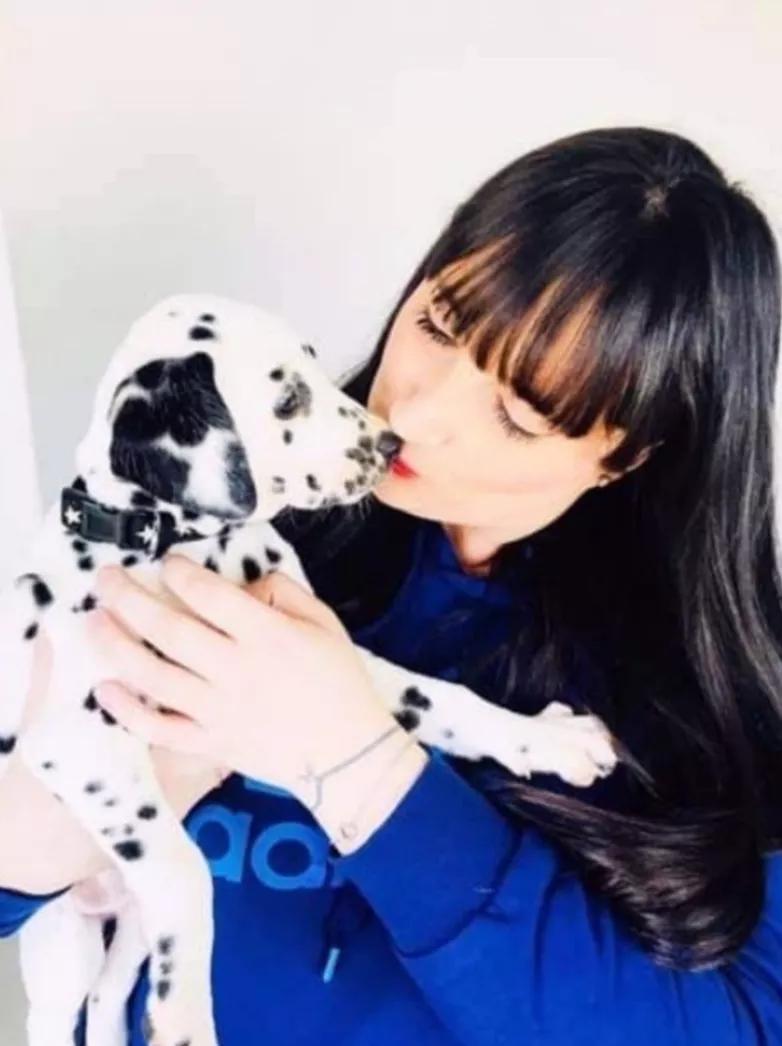 小黄狗长大的过程,小黄狗长大过程