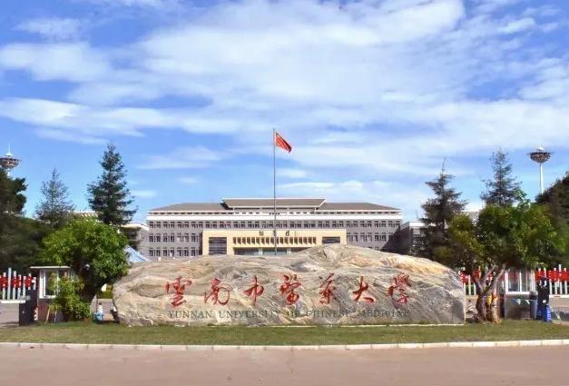 云南大学双一流大学值得读吗,云南大学是双一流大学吗