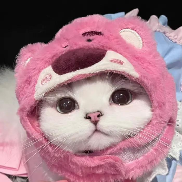 微信头像励志阳光正能量,微信头像风景山水好运