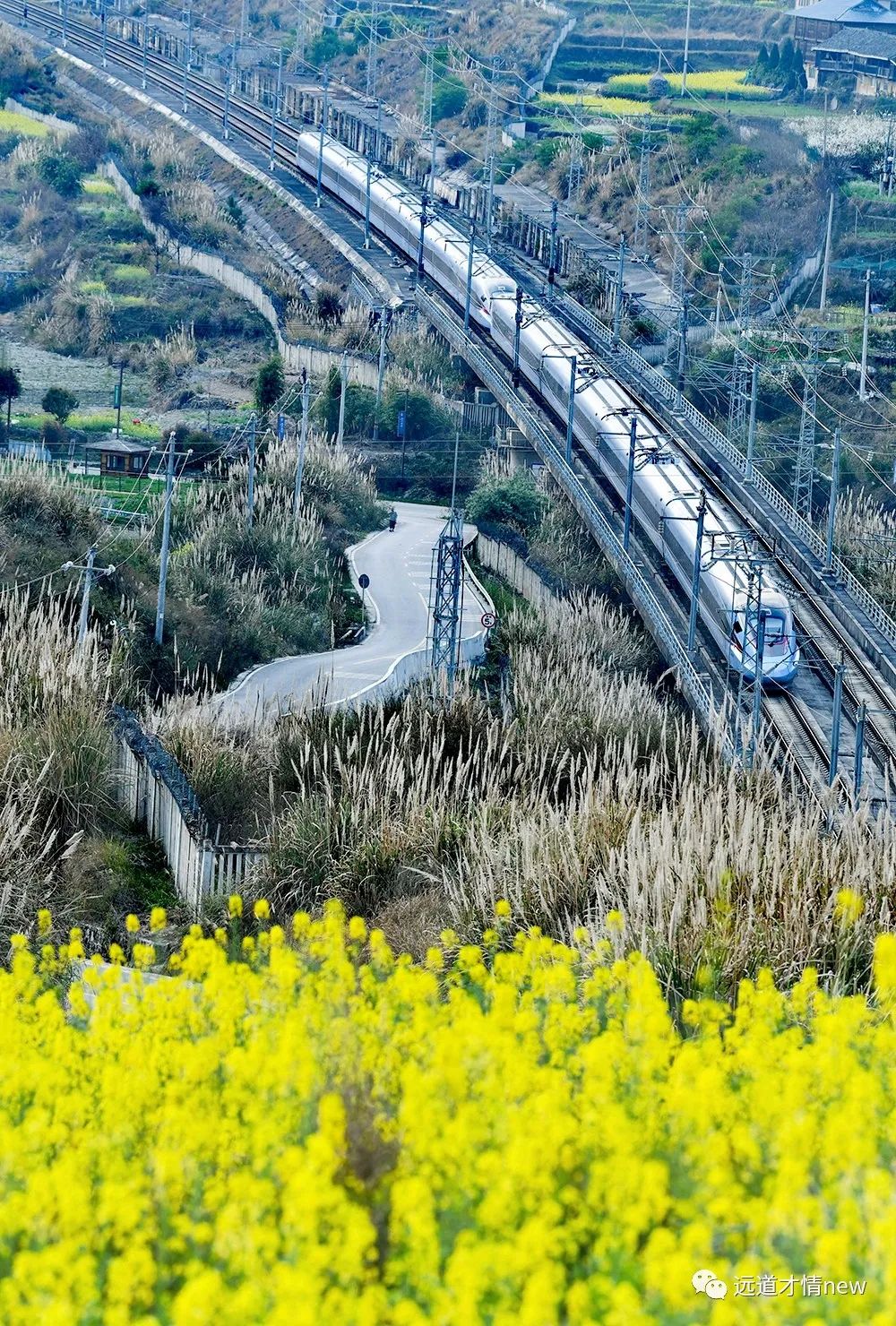 给2023的一封信怎么写,给2023年的自己写一封信500字