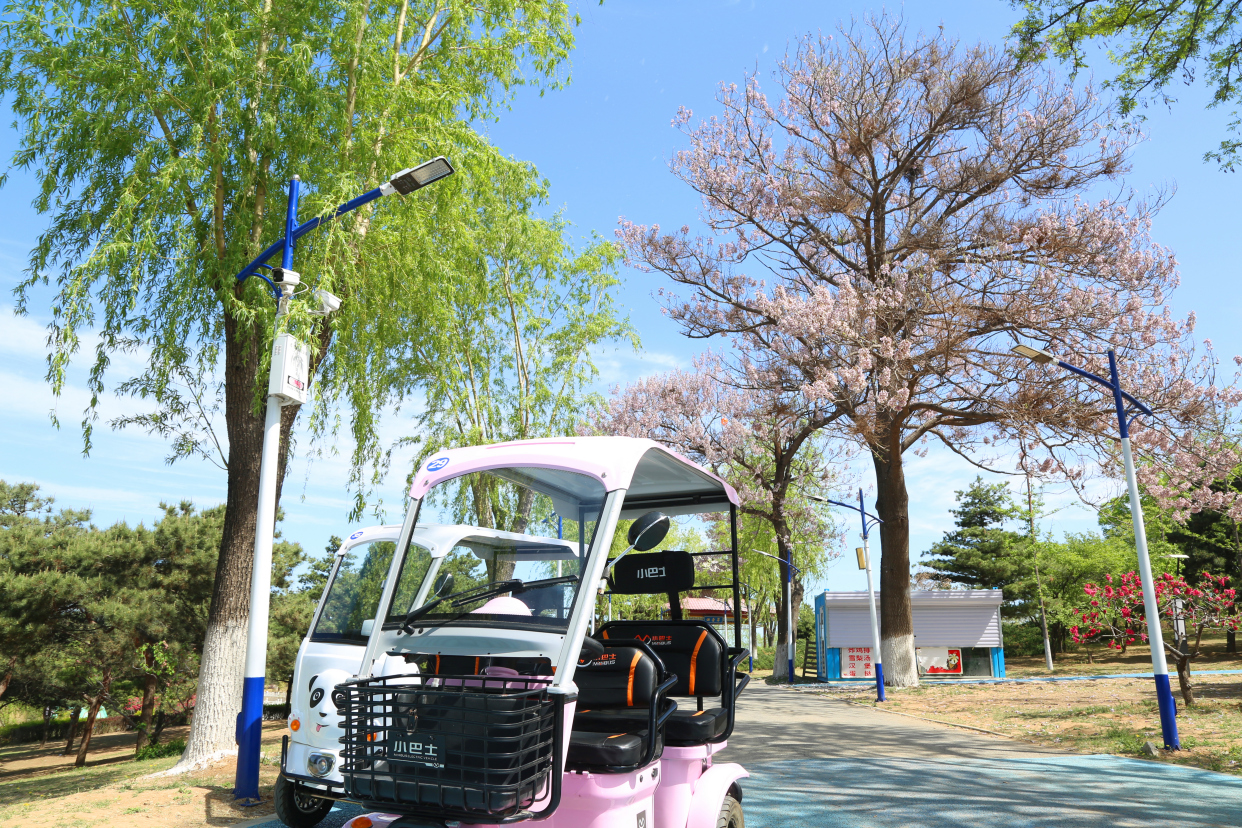 青龙湖公园网红打卡,丰台王佐青龙湖公园门票