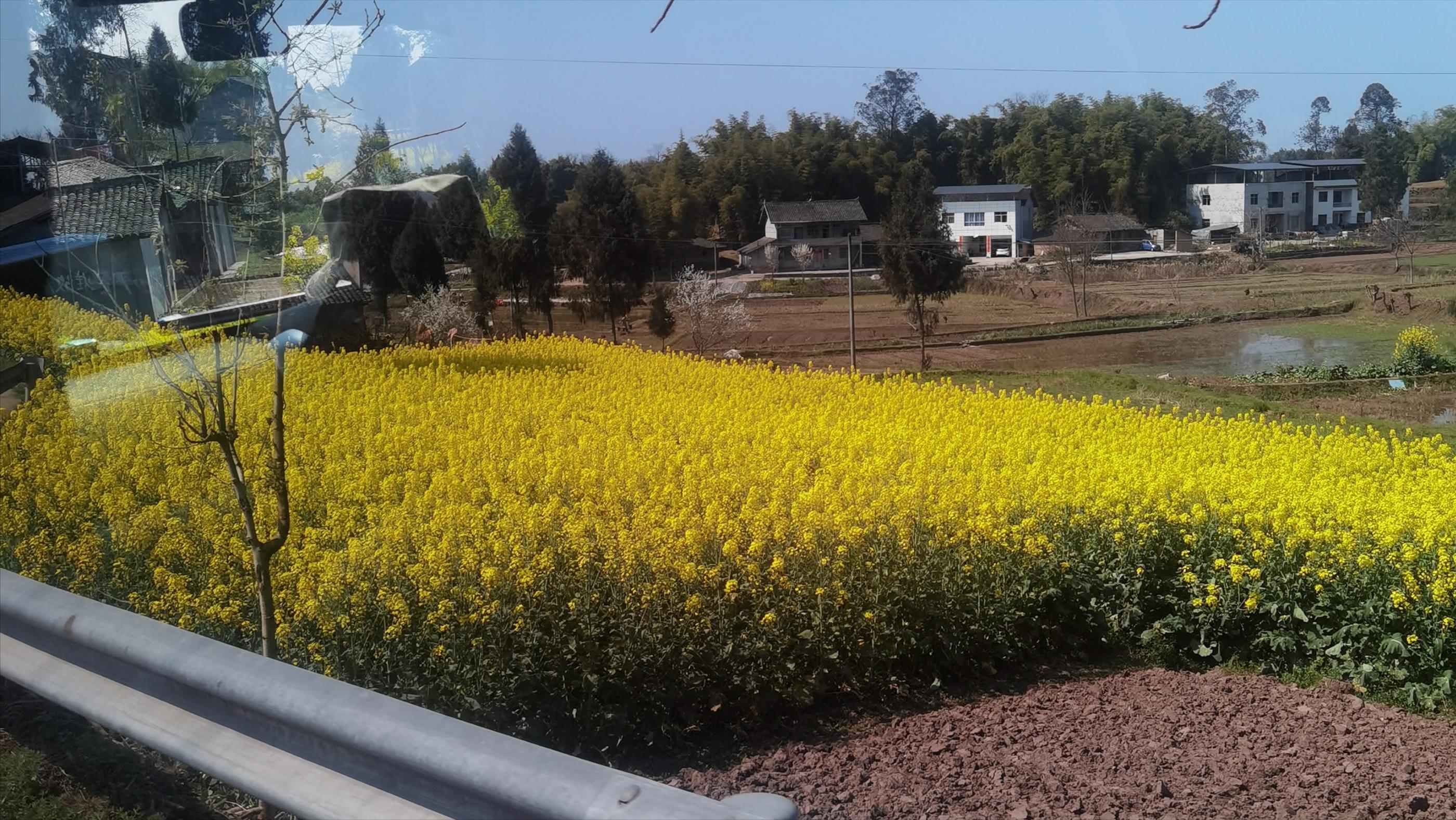 桑旅修复全过程,桑旅转向灯维修