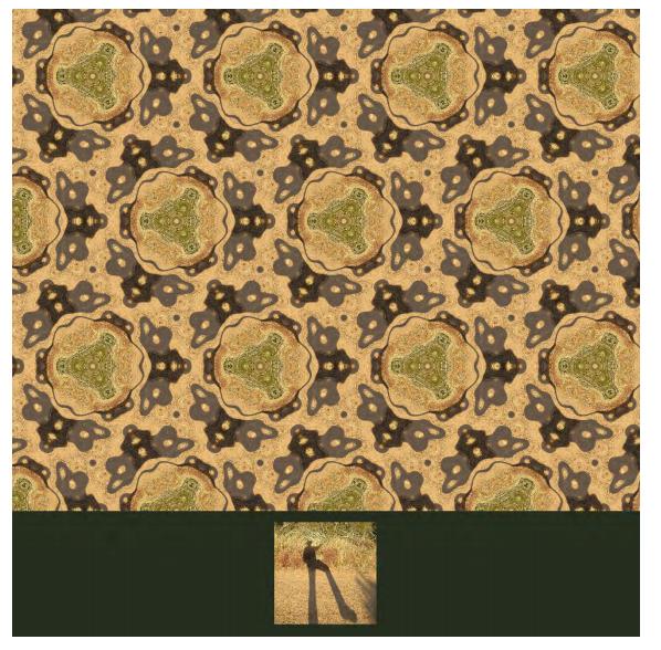 数学家的演讲,数学家谈函数与方程