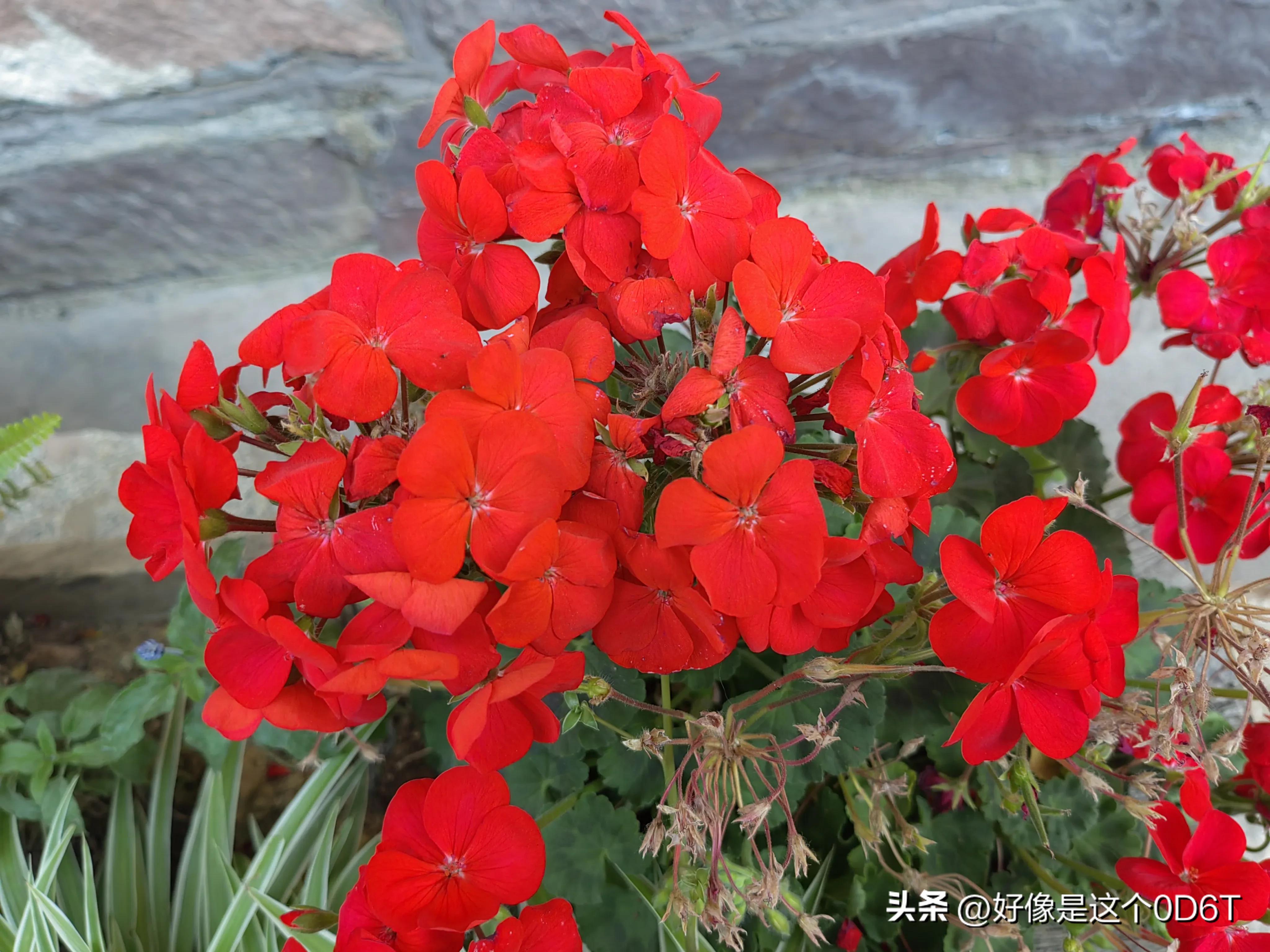 生活水平提高了幸福指数,生活水平提高了钱从哪里来的