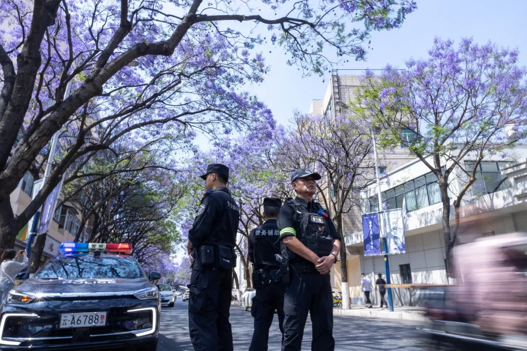 芸儿美美美美美,美美美美美美美英文