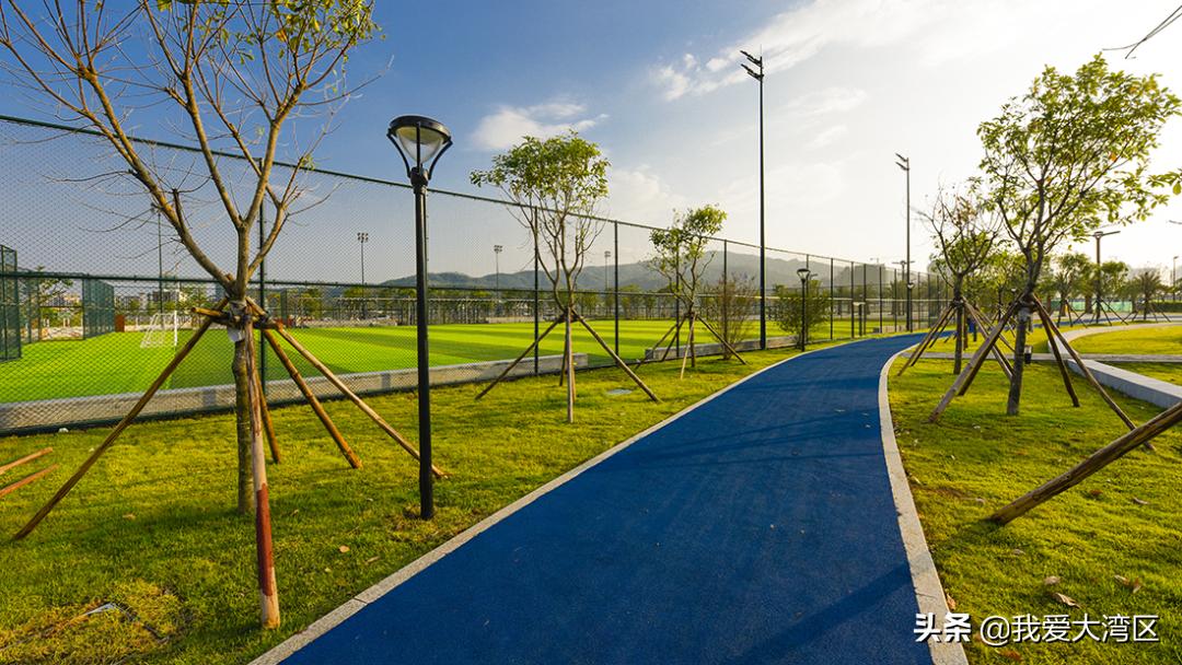 珠海春游赏花,珠海周边踏青景点