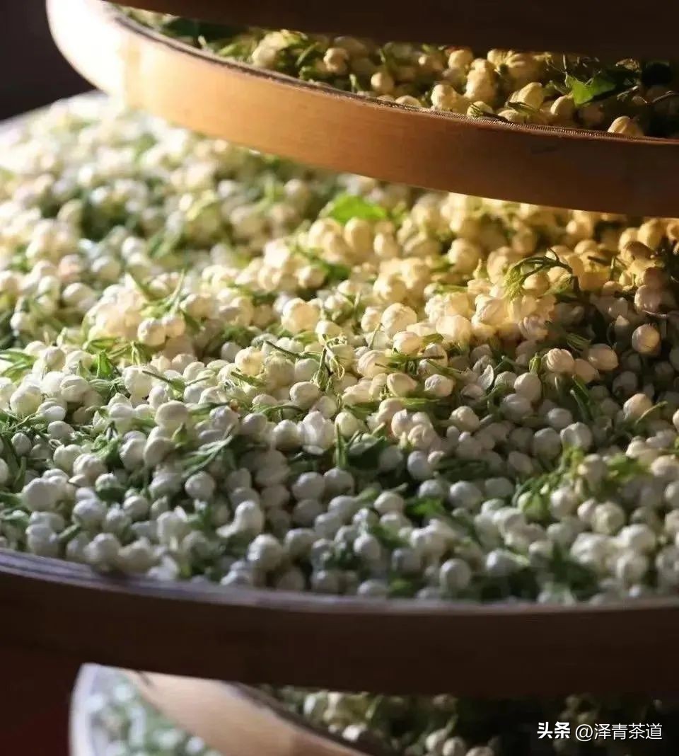 福建中国茶叶第一大省,中国茶叶排名第一省