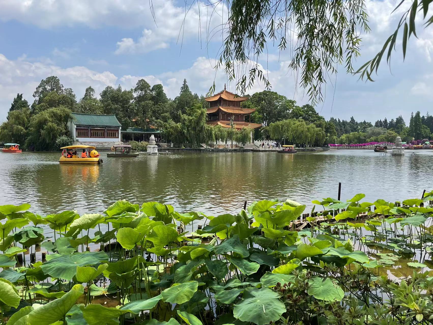 昆明草海的房子,草海富人区豪宅