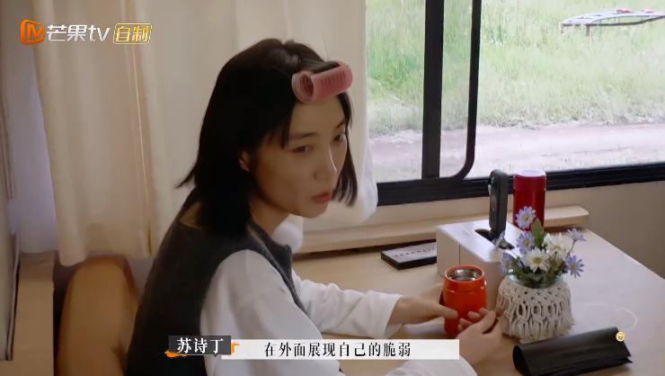 苏诗丁和卢歌再见爱人结局,再见爱人2苏诗丁和卢歌复合了吗