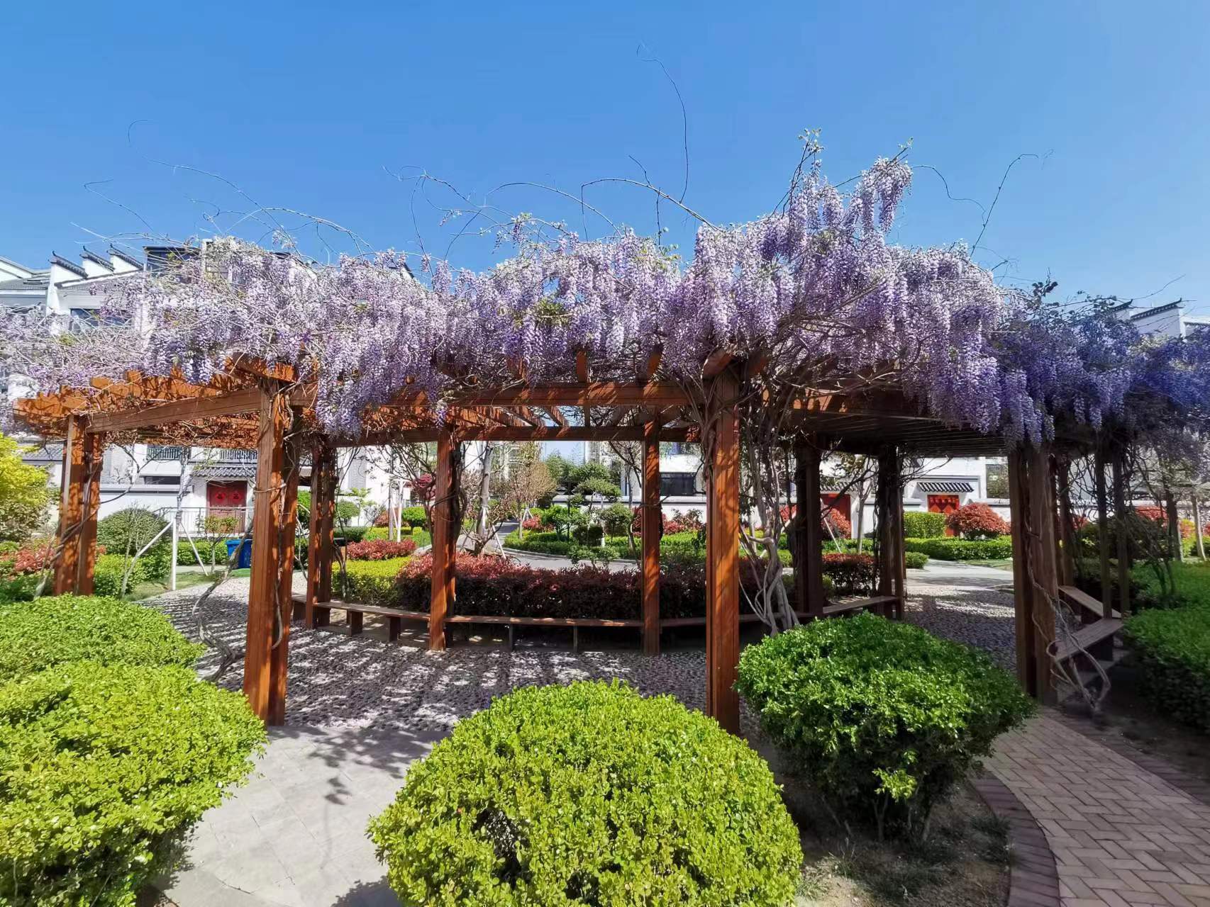 高考同义词,高考英语词组阅读理解