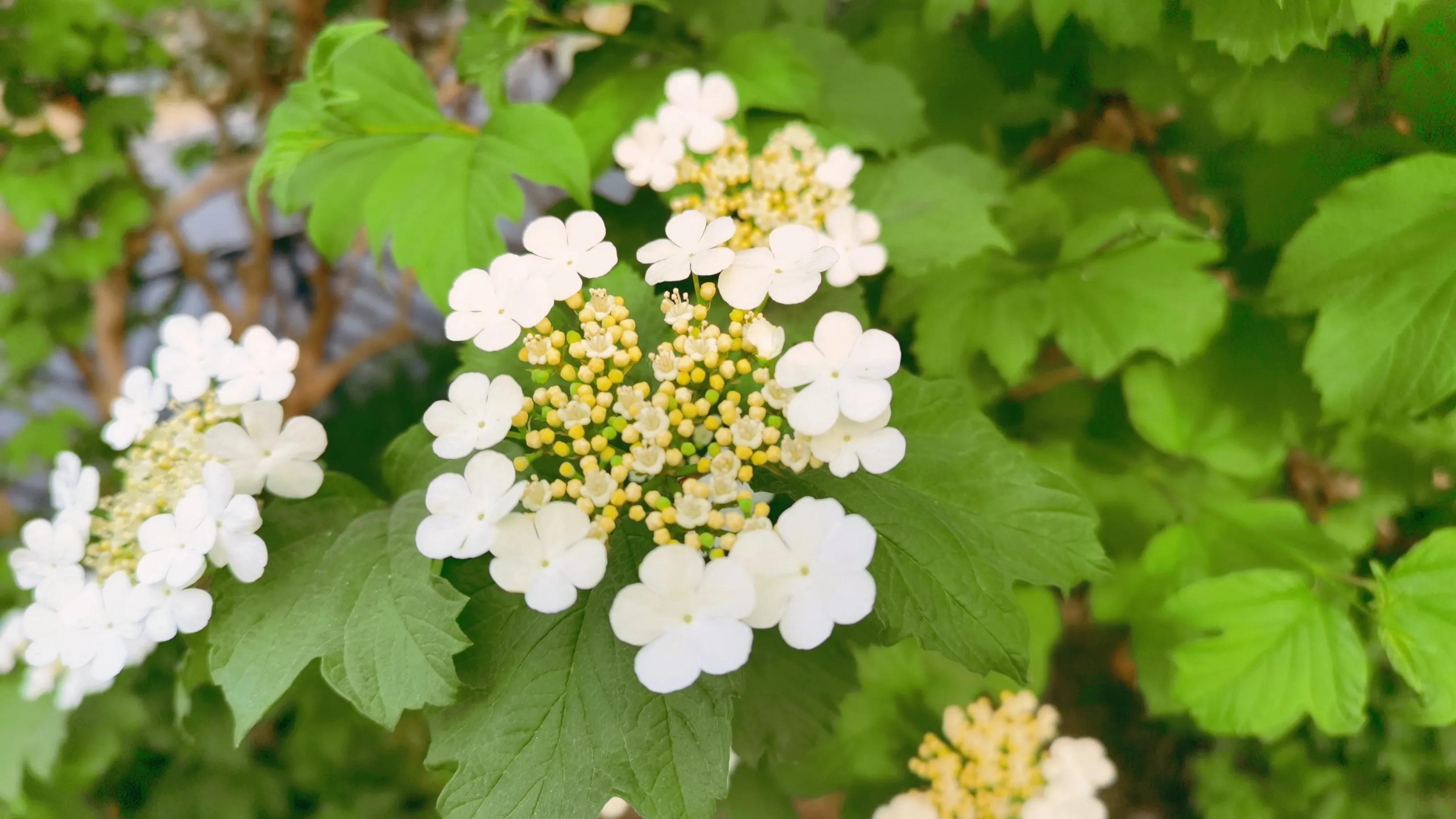 家里有一个节俭的老婆,家里有位贤惠的老妈