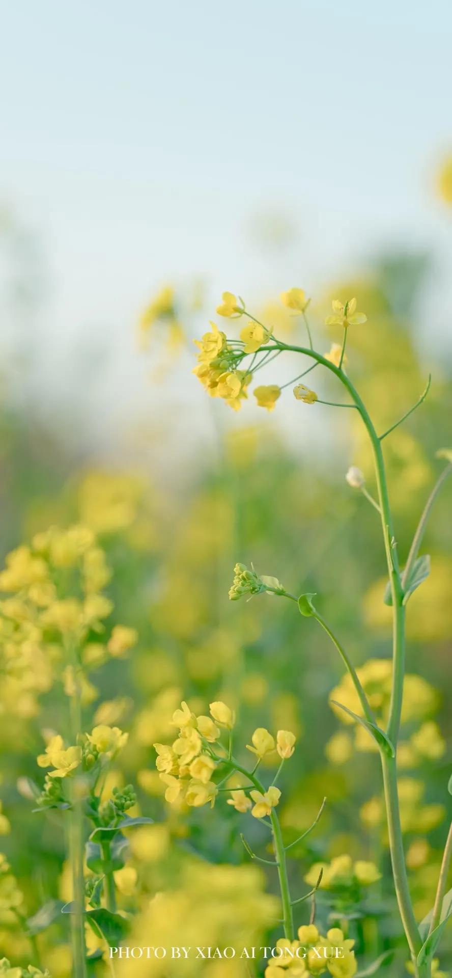 湛蓝的海水海滩风景高清壁纸,高清壁纸8k全屏无水印风景