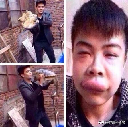 甲鱼和鳖还有王八是一种动物吗,甲鱼乌龟王八和鳖是一个东西吗