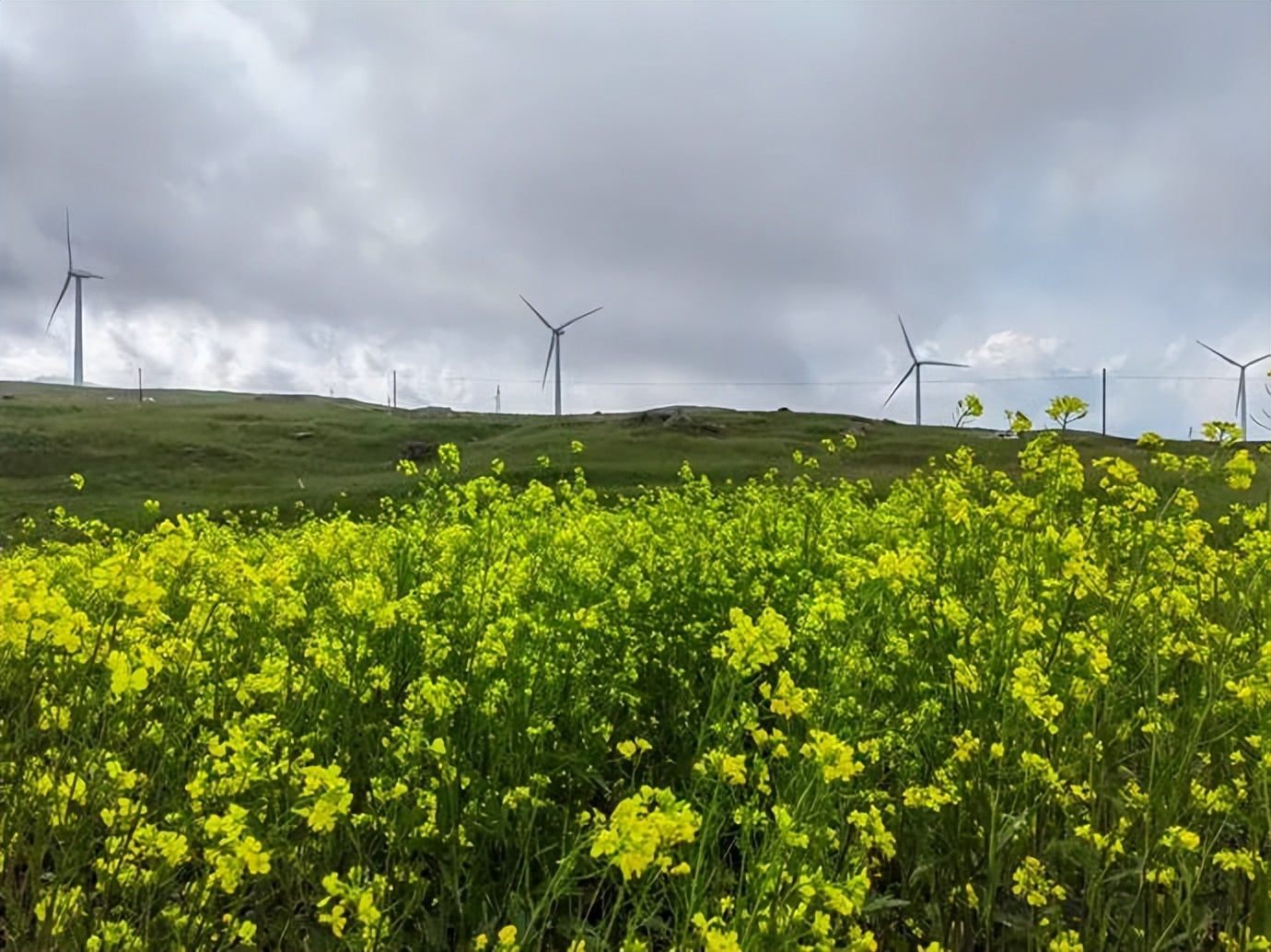 灏忓ぉ灞遍夯鐢板箔鏅尯浜戞捣,楹荤敯宀皬澶╁北璺ソ璧颁箞
