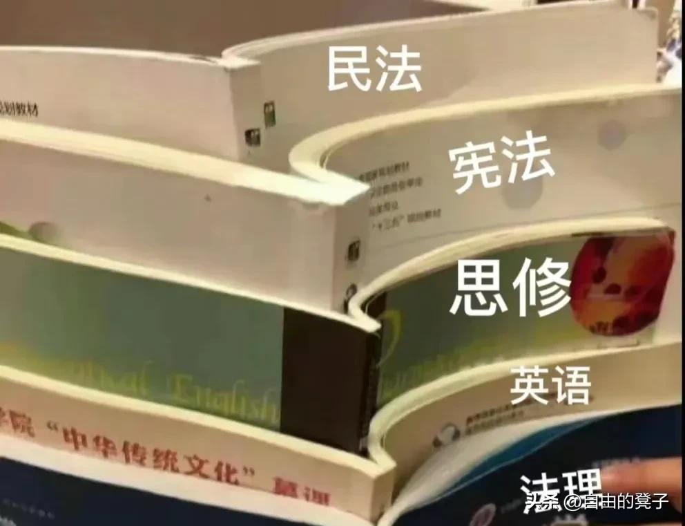 一位文科生逆袭剑桥脑科学博士