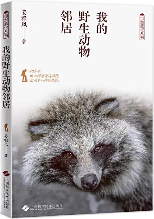 中国蛇类图鉴赤链蛇,团花锦蛇算是稀有蛇类吗