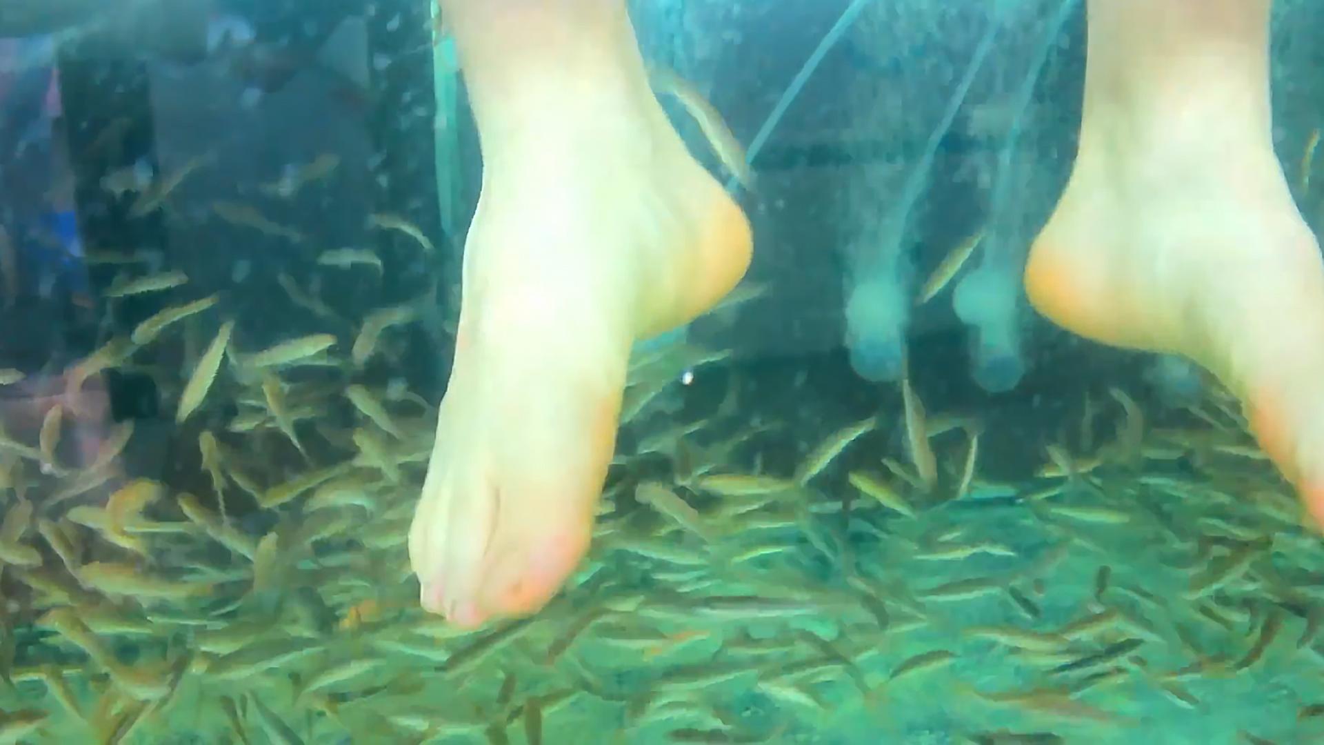 足疗小鱼真的吃死皮吗,足疗店的小鱼能吃吗