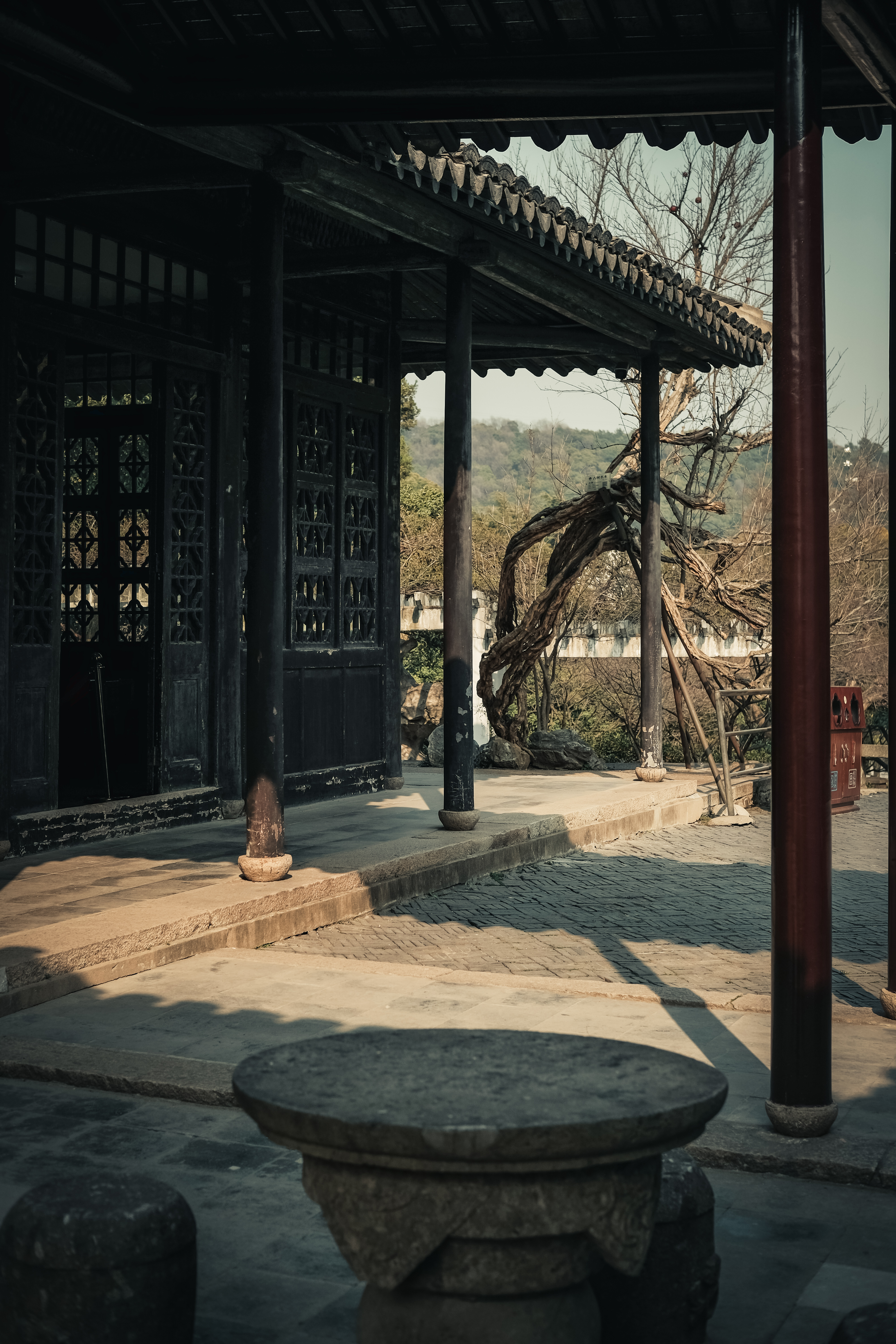 老梅园，你没有游览到；你游览的只是新梅园