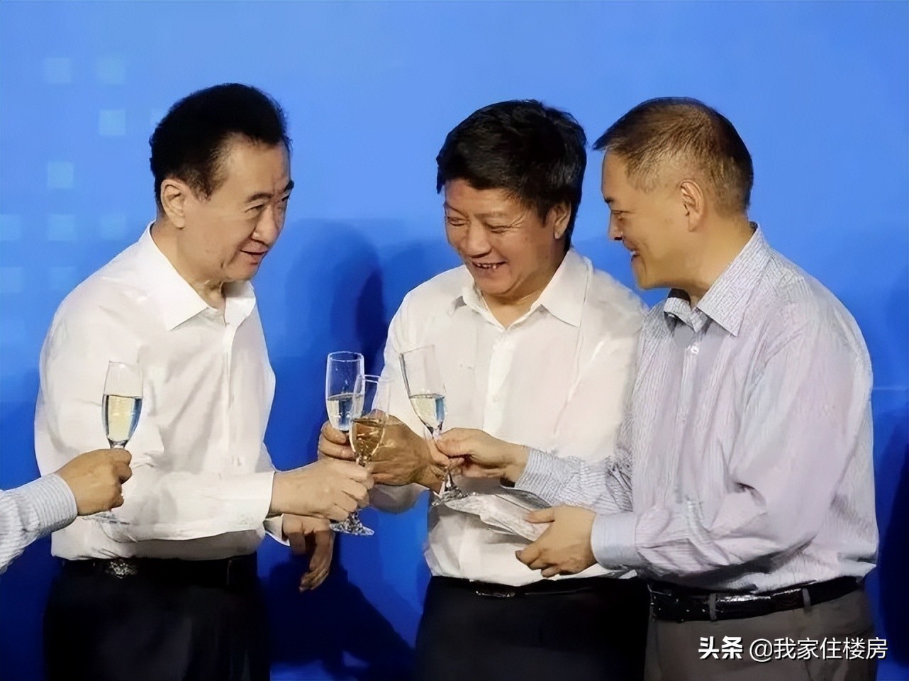 王健林合肥万达城现状,万达王健林合肥滨湖拿地