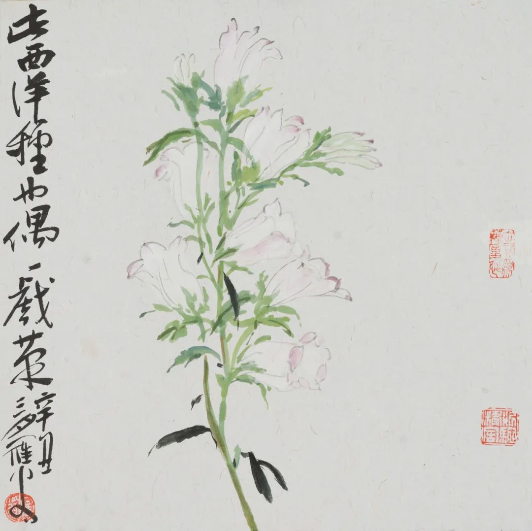 一花一木一情怀的下一句,一花一木一壶茶的生活