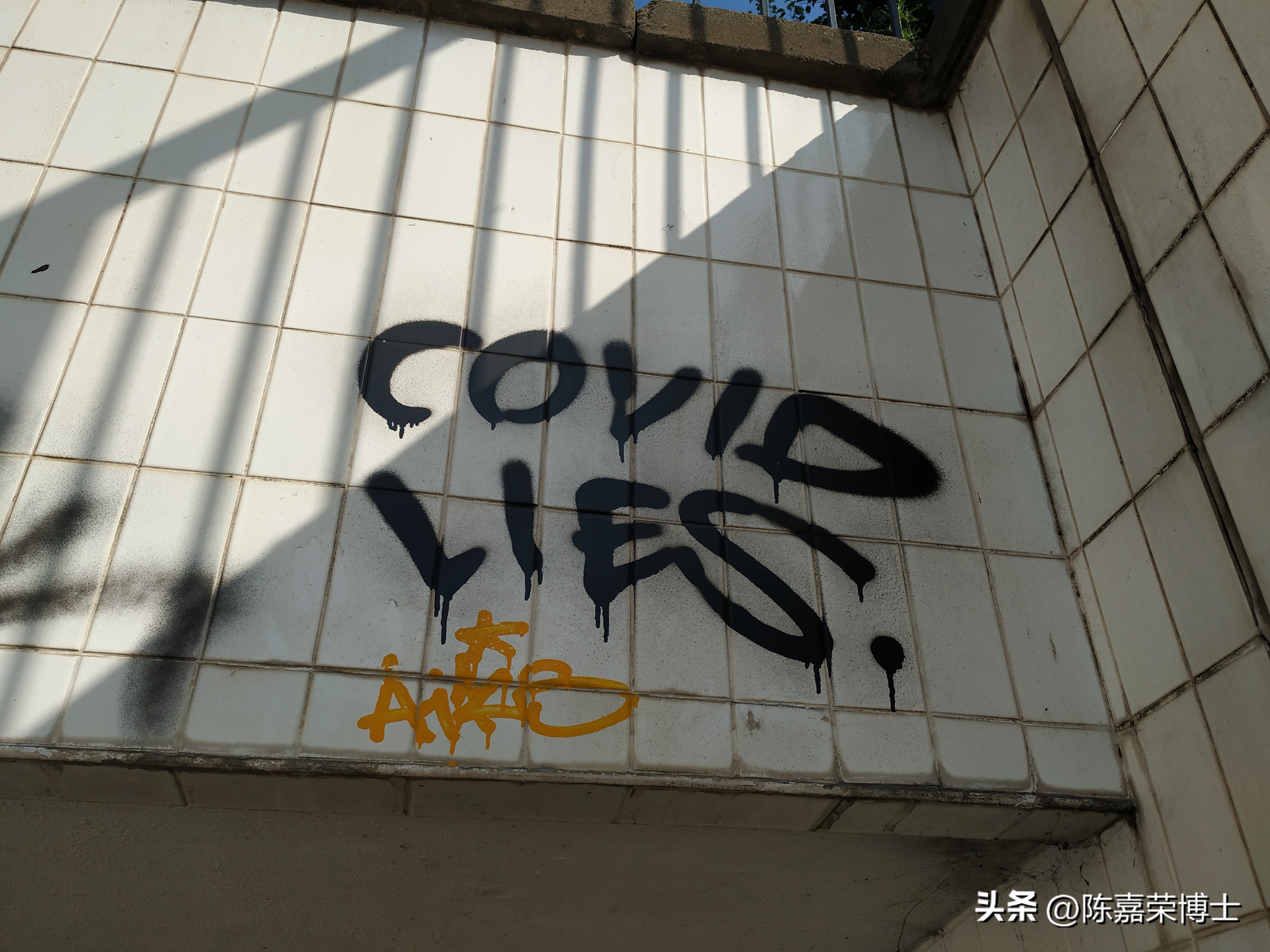 钟南山在新冠肺炎抗疫经历有哪些,我在疫情中生活日记