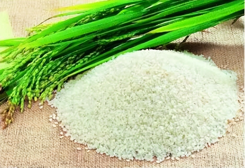 泰州兴化风景,泰州兴化名胜古迹