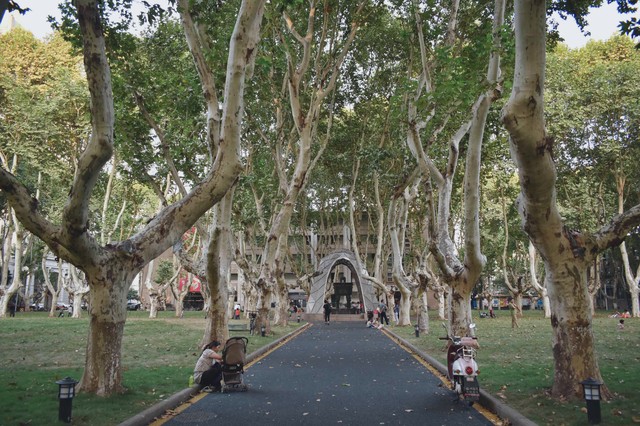 研究人性的老师,研究人体骨骼的科学家