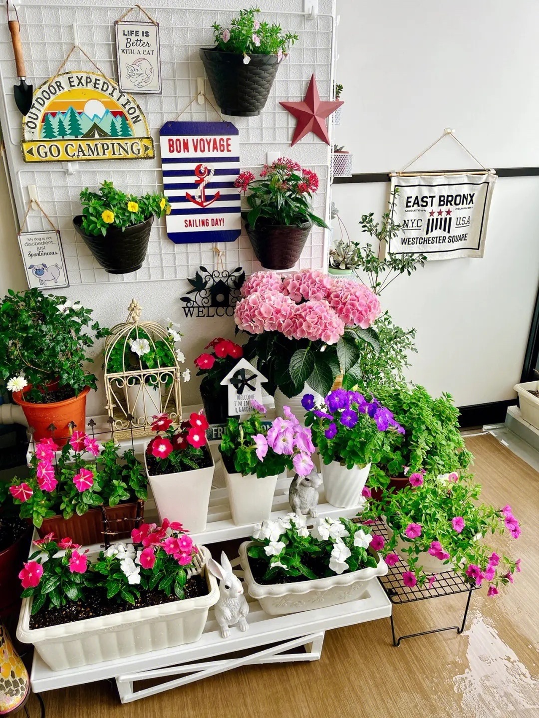 阳光照射短花期长又好养的花,7种漂亮的花喜阴怕阳光