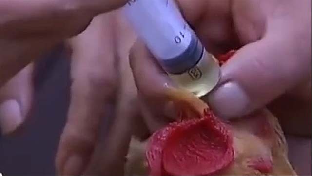 湖南男子身怀神奇解毒术,乡村教师自学中医为孩子以身试药