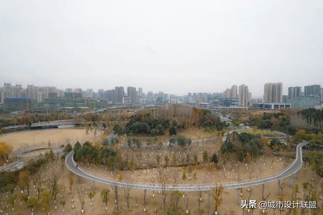 成都值得一游的公园,夏季成都宝藏公园