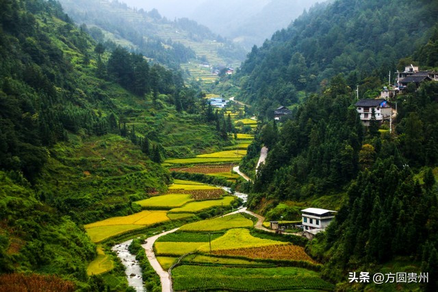 贵州有哪些民族节日,世界上最长的节日就在贵州