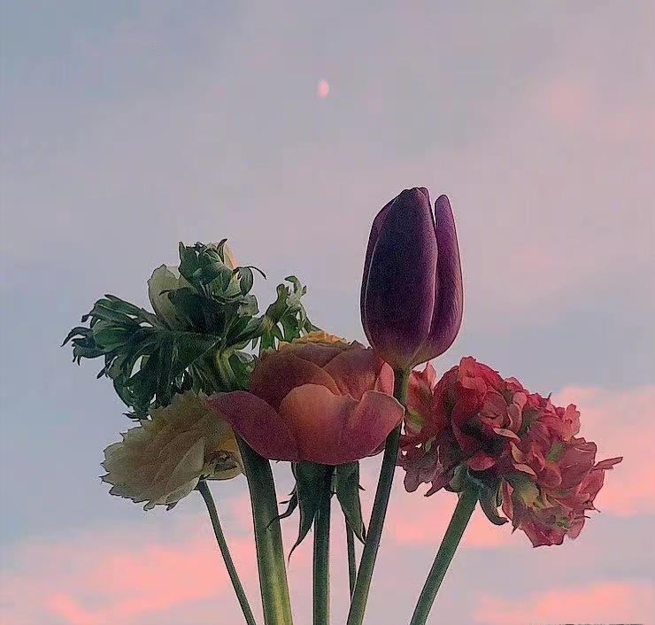 人的一生有时间和自己度过的,人最重要的是过好自己的日子