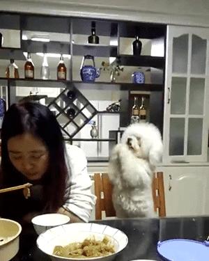 “姑娘你不能挡一下那里么？那东西让人看了很难为情”哈哈哈