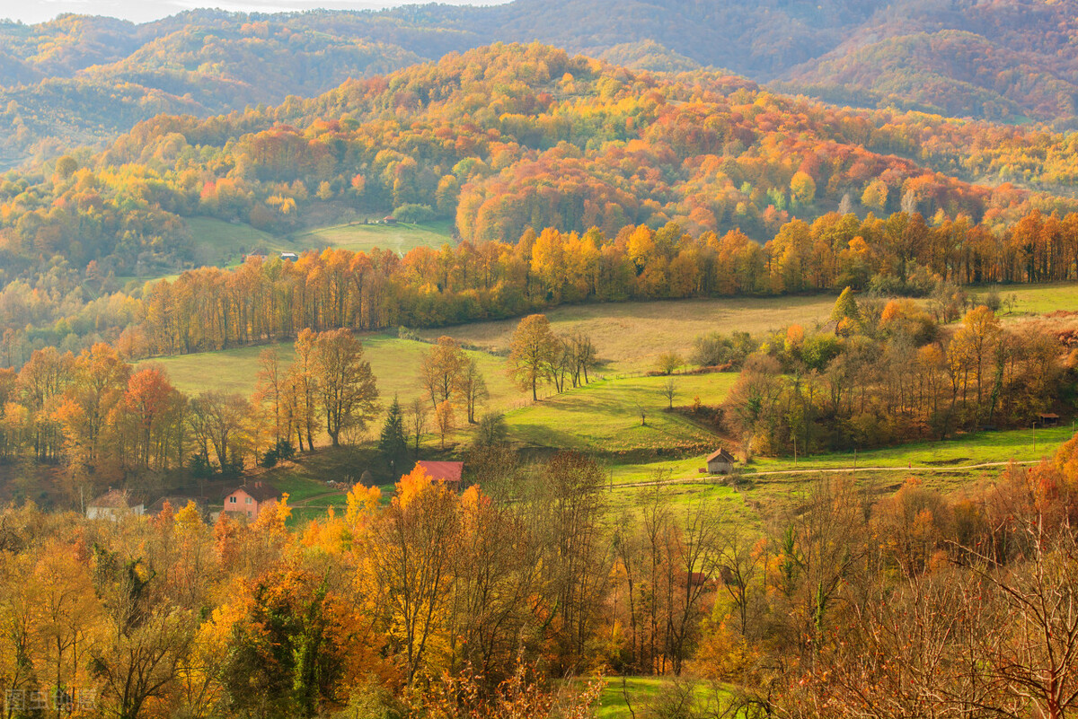 新闻软文发布平台软文推广,软文推广做得比较好的推广平台