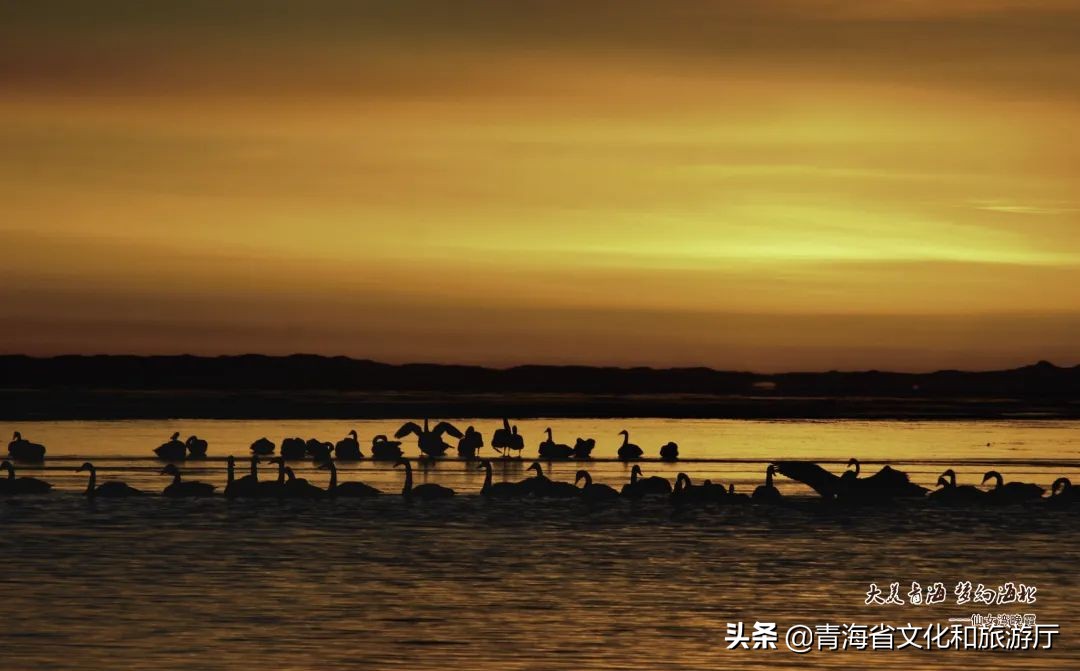 2017中国旅游日青海,2020中国旅游日青海美景等你来赏