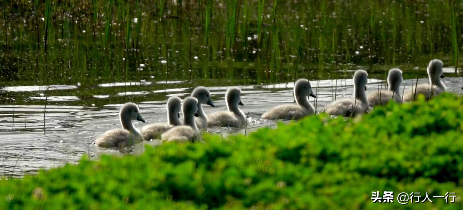 郑州周边夜晚露营地推荐,郑州露营旅游地点推荐