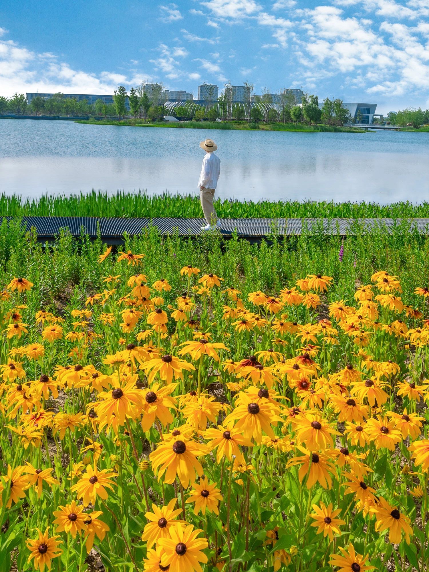 上海二月份免费打卡地,上海即将上线的打卡地