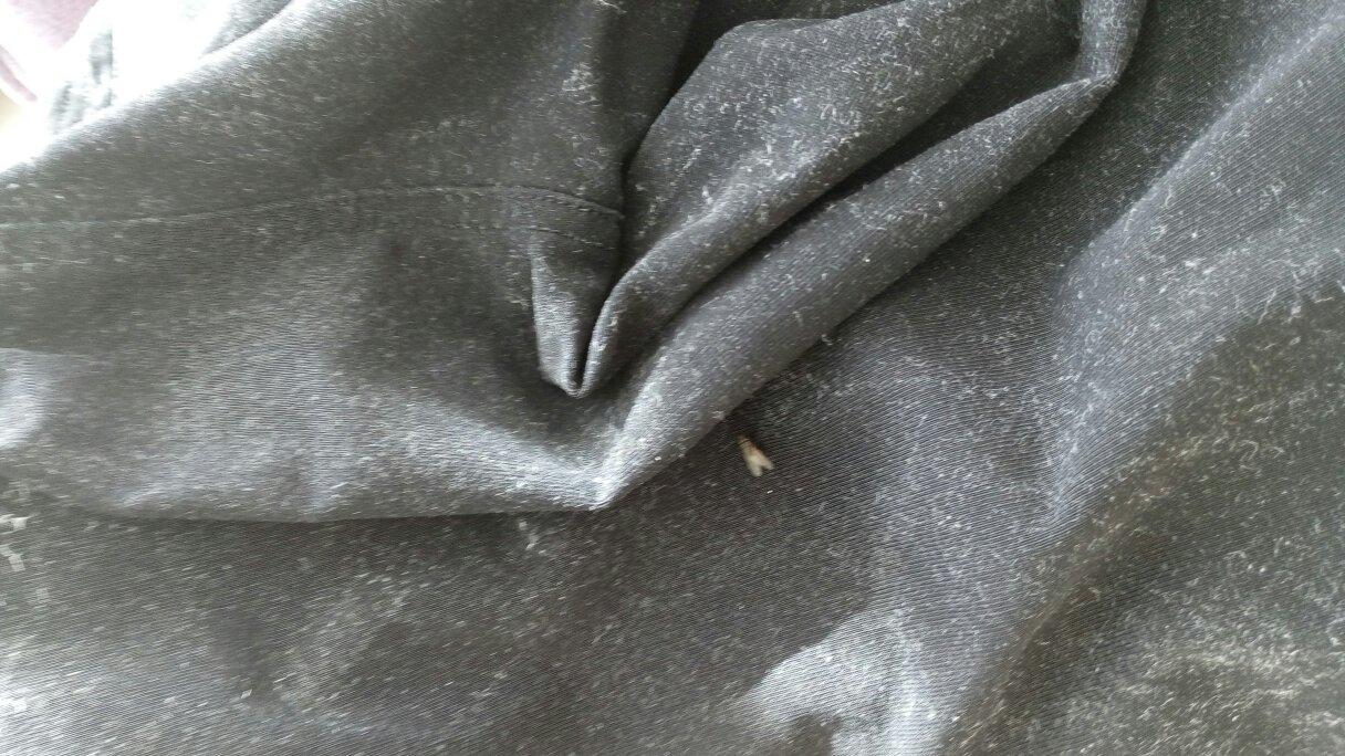 衣服洗干净教你一招,衣服洗完沾满毛絮怎么办