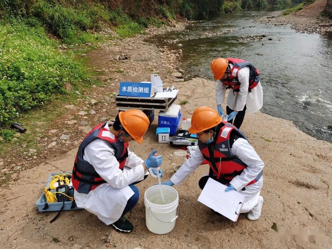 水蚯蚓多少块钱,捕蚯蚓违法吗