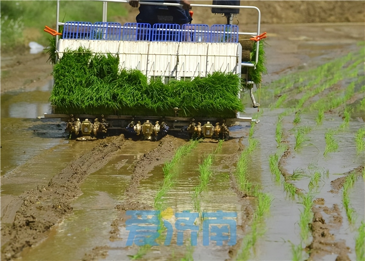 夏色初染泉城一起来找找济南府里的中国色吧~