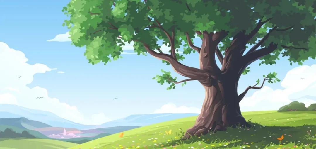 大树法则是谁提出来的,大树法则的四个条件