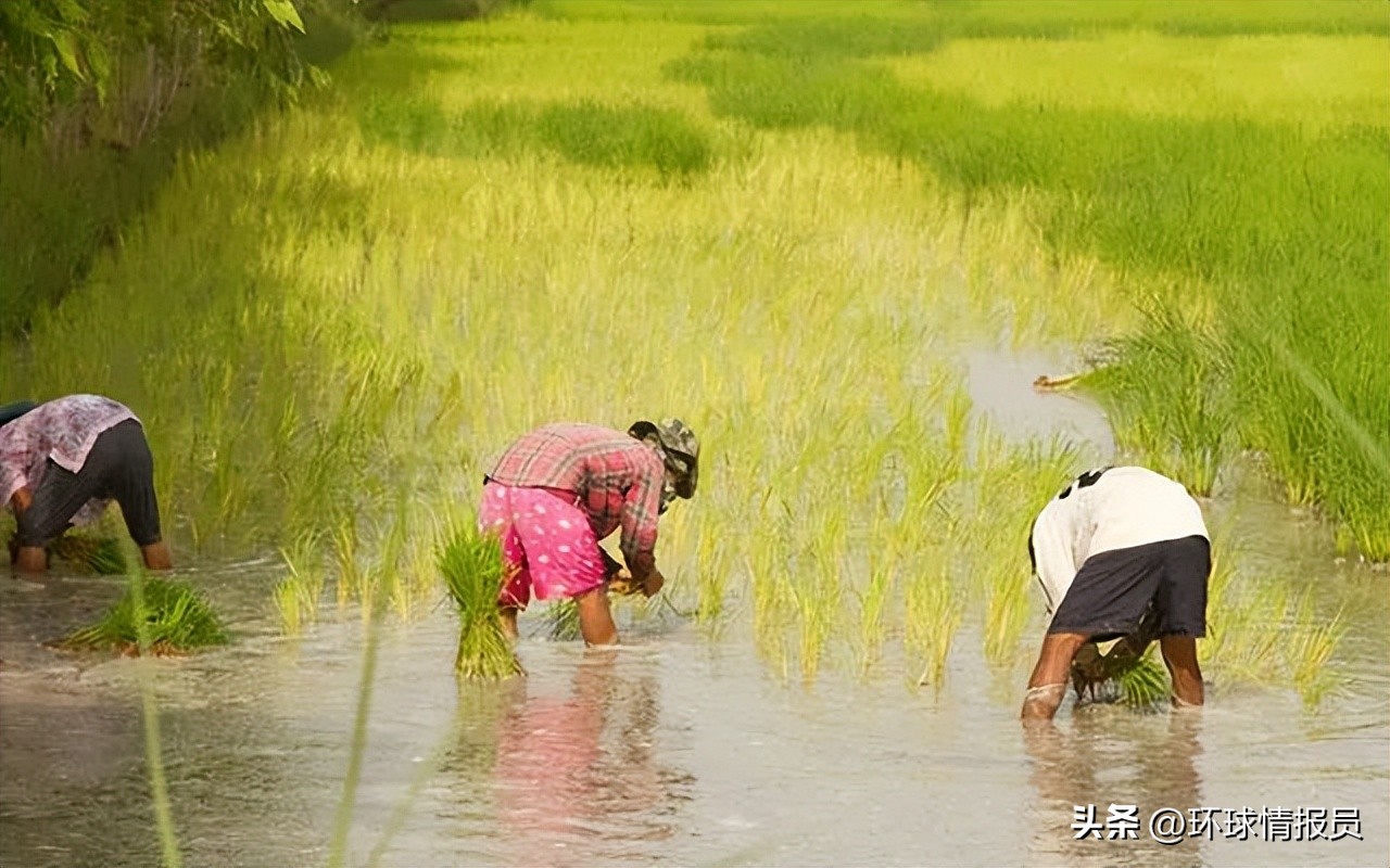 傣族与泰国的泰族,中国的傣族与泰国有关系吗