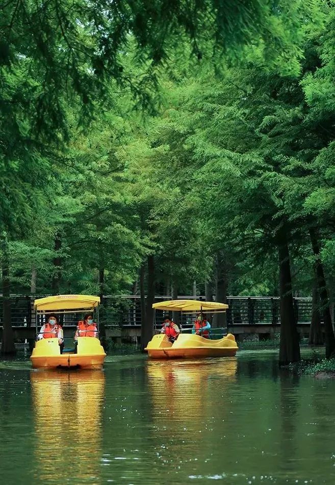 上海水上旅游,上海旅游攻略上海水上乐园