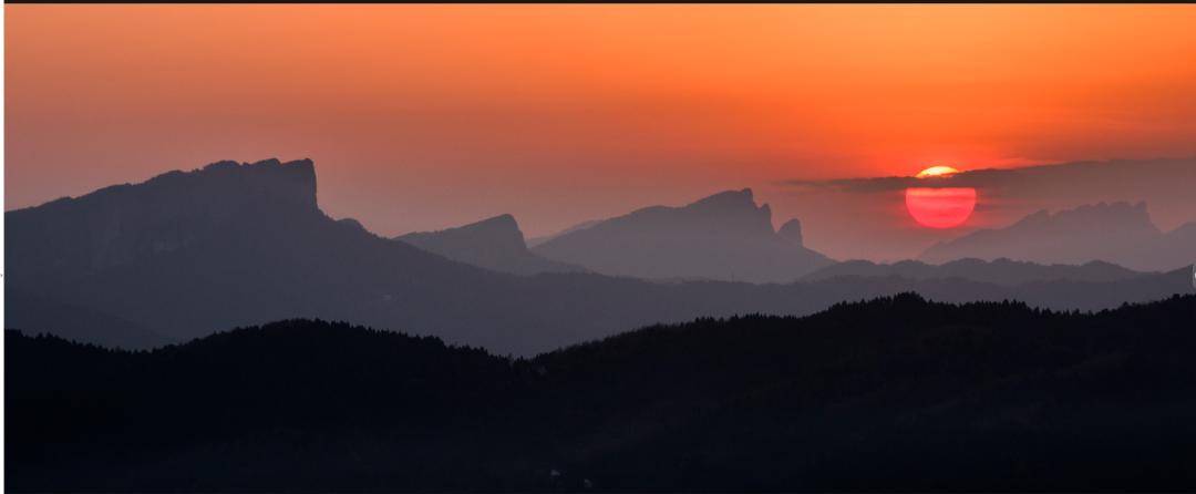 剑阁杯古树名木摄影大赛,保亭摄影比赛获奖作品