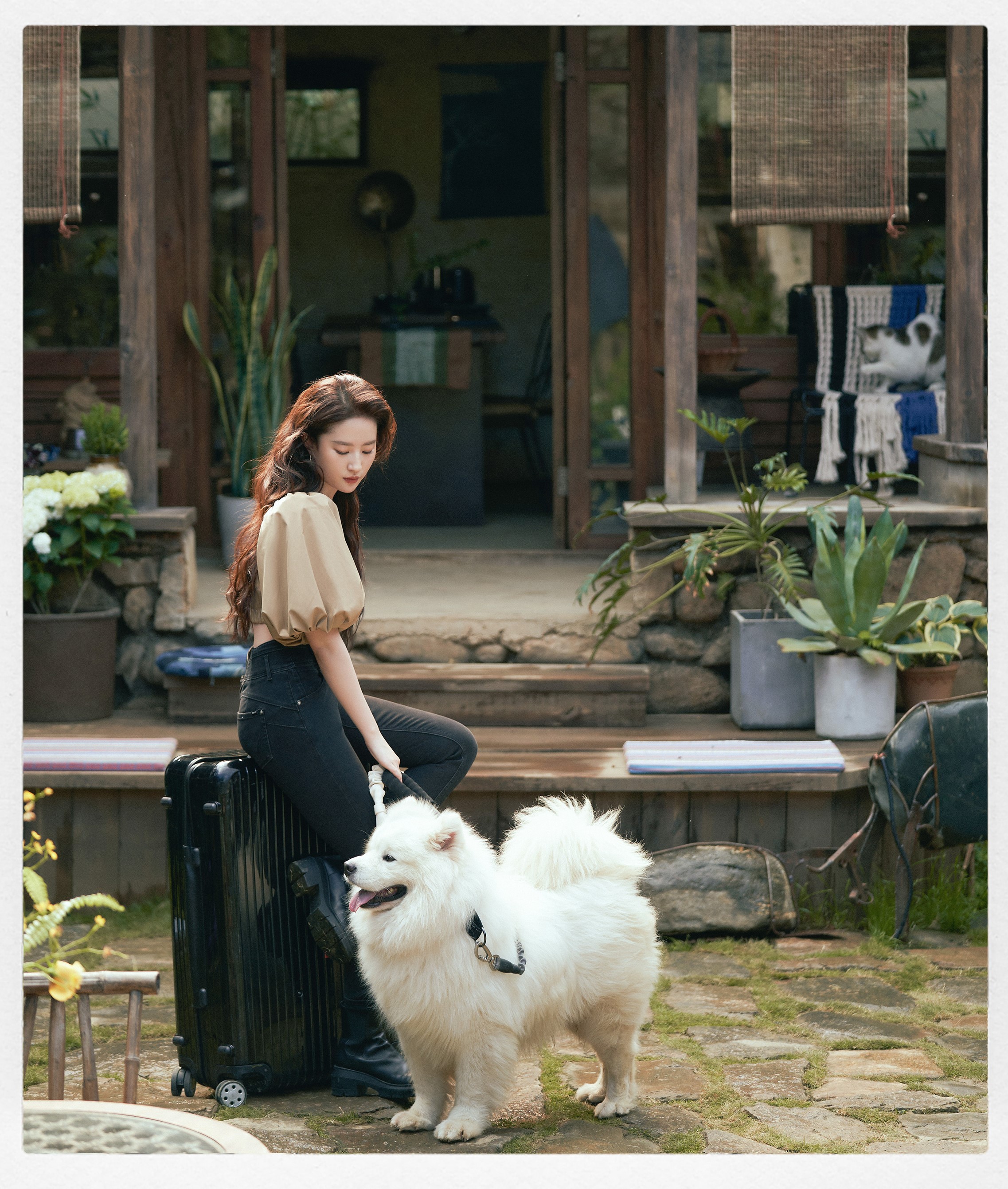 10部奇幻浪漫的甜宠爱情剧,甜到掉牙的十部爱情剧