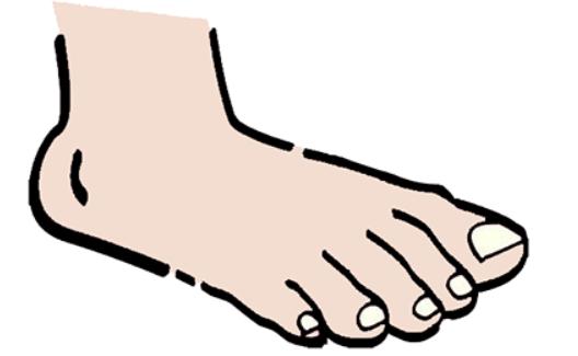 日本人如何处理脚气问题,欧美人为什么更容易患脚气